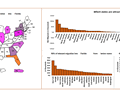 State to state migration dashboard - by Rajesh Sangati - snapshot 1