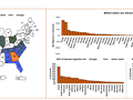 State to state migration dashboard - by 2 - snapshot 2