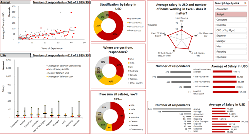 Dashboard to visualize Excel Salaries - by Ekaterina Batranets - Chandoo.org - Screenshot