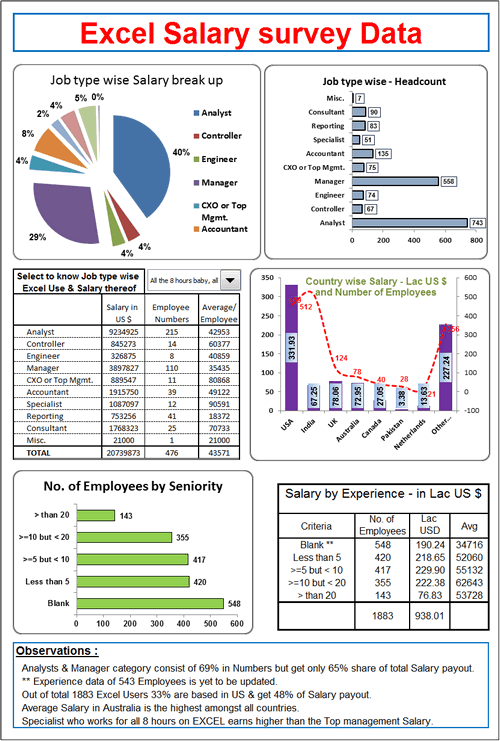 Dashboard to visualize Excel Salaries - by Rajendra Joshi - Chandoo.org - Screenshot