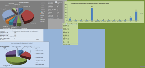 Dashboard to visualize Excel Salaries - by Saurabh Sharma - Chandoo.org - Screenshot