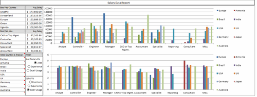 Dashboard to visualize Excel Salaries - by Juwin - Chandoo.org - Screenshot