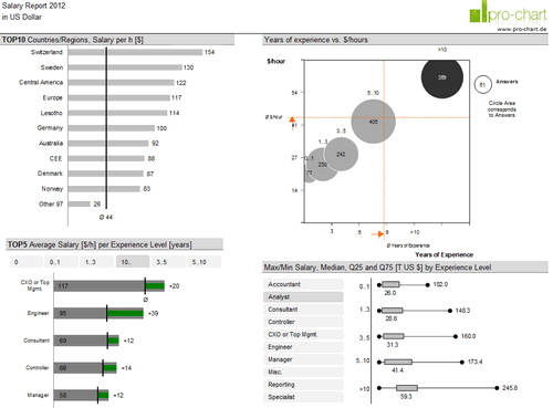Dashboard to visualize Excel Salaries - by Joerg Decker - Chandoo.org - Screenshot