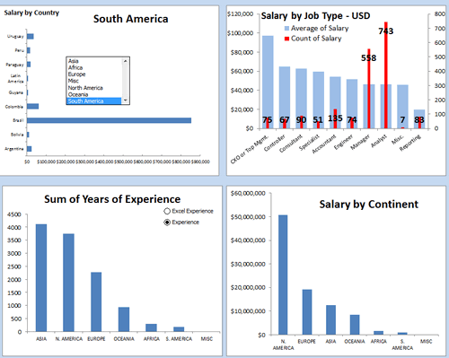 Dashboard to visualize Excel Salaries - by Susan Christine McManus - Chandoo.org - Screenshot