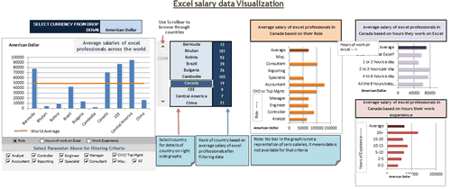 Dashboard to visualize Excel Salaries - by Yogesh Gupta - Chandoo.org - Screenshot