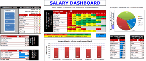 Dashboard to visualize Excel Salaries - by Prakash Singh Gusain - Chandoo.org - Screenshot