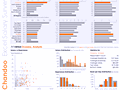 Dashboard to visualize Excel Salaries - by Joey Cherdarchuk - Chandoo.org - Screenshot #02