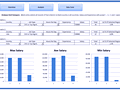 Dashboard to visualize Excel Salaries - by Clickable world-map with interactive analysis of Top 15 countries - Chandoo.org - Screenshot #02