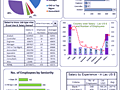 Dashboard to visualize Excel Salaries - by Rajendra Joshi - Chandoo.org - Screenshot #02