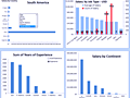 Dashboard to visualize Excel Salaries - by Susan Christine McManus - Chandoo.org - Screenshot #02