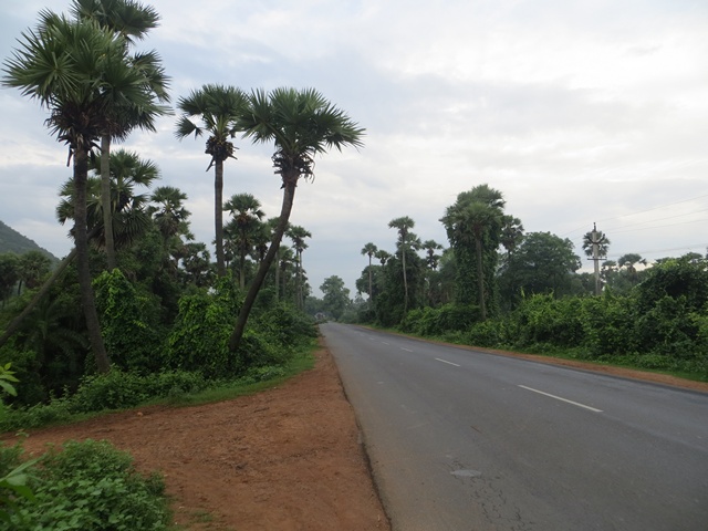 State highway 38 looked pleasant & fresh in the morning