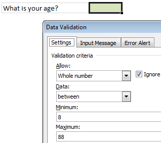 Excel Data Validation Rules - Example