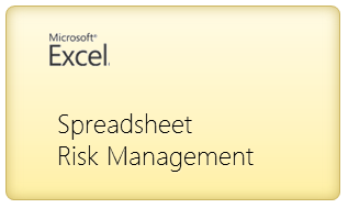 Introduction to Spreadsheet Risk Management