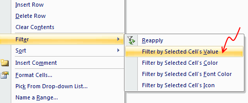 Filter by Selected Cells Value - Excel Tip